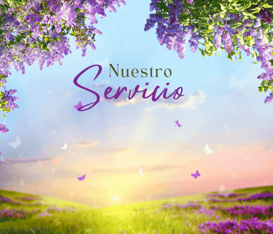 Banner-centro-servicios-home-floristeria-la-reina Banner-centro-servicios-home-floristeria-la-reina