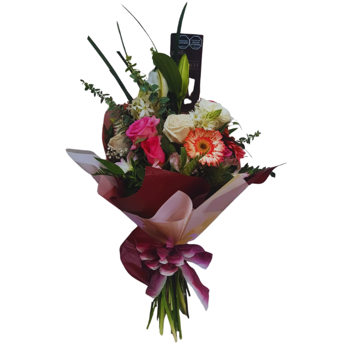 sebastian - 2025-07-31T172032.563