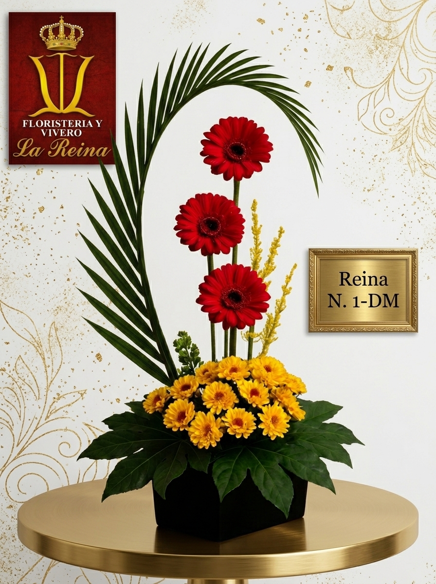 Reina-1-DM